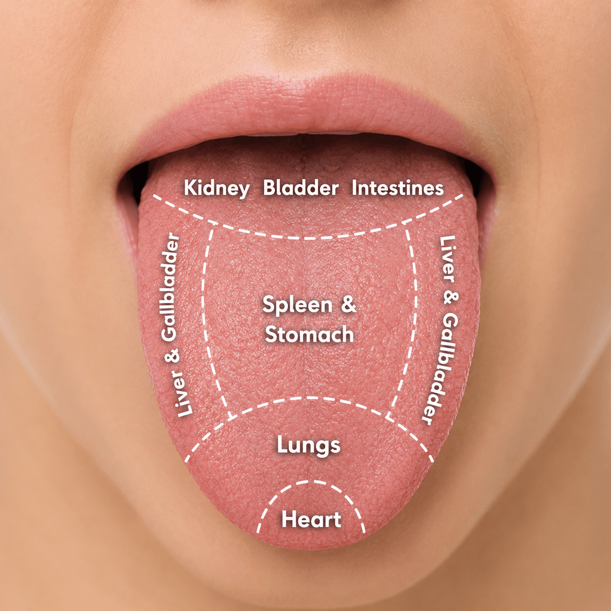 Tongue map